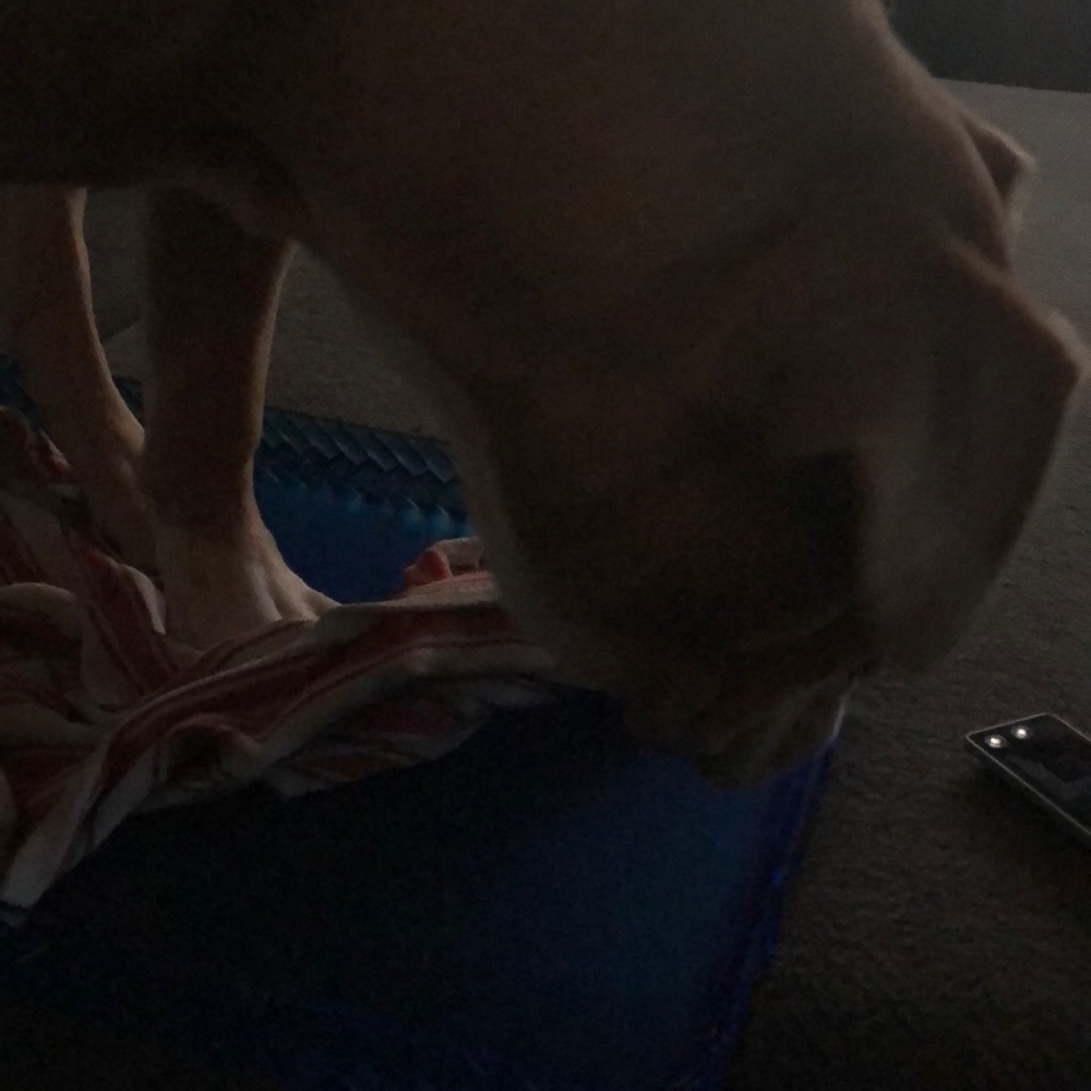 Meet your Posher, Aimee